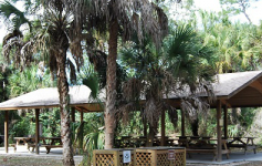 an image of a picnic area in koreshan state park